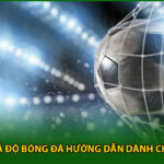 Thuật Ngữ Cá Độ Bóng Đá Hướng Dẫn Dành Cho Người Mới